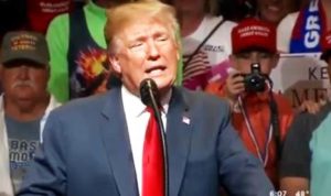 grouchyeditor.com Trump