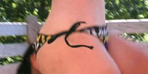 grouchyeditor.com Abduction 101