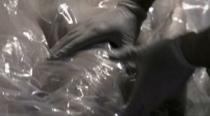 grouchyeditor.com Abduction 101