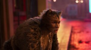 grouchyeditor.com Cats