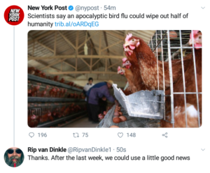 grouchyeditor.com flu